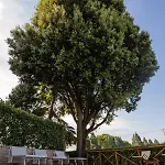 Apartmán Borgocuore