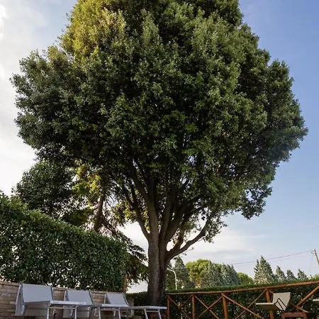 Appartement Borgocuore