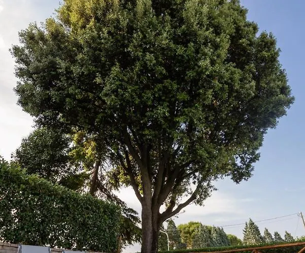 Apartamento Borgocuore