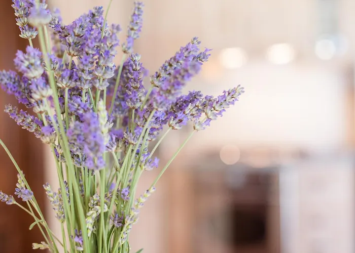 Apartament Borgocuore