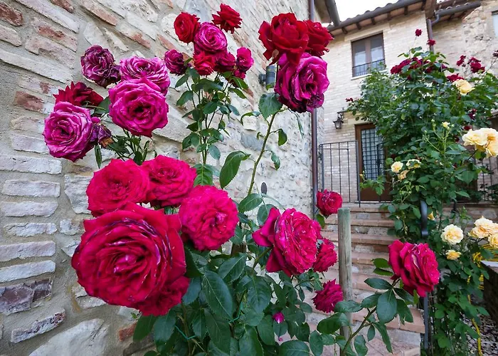 Apartament Borgocuore *